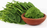 MORINGA LEAF POWDER USDA Certified ORGANIC 100% Raw Superfood,Gluten Free